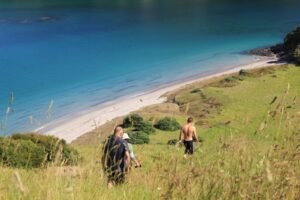 Guests hiking on Waewaetorea Island with a scenic view of Honeymoon Bay in the Bay of Islands during a sailing charter