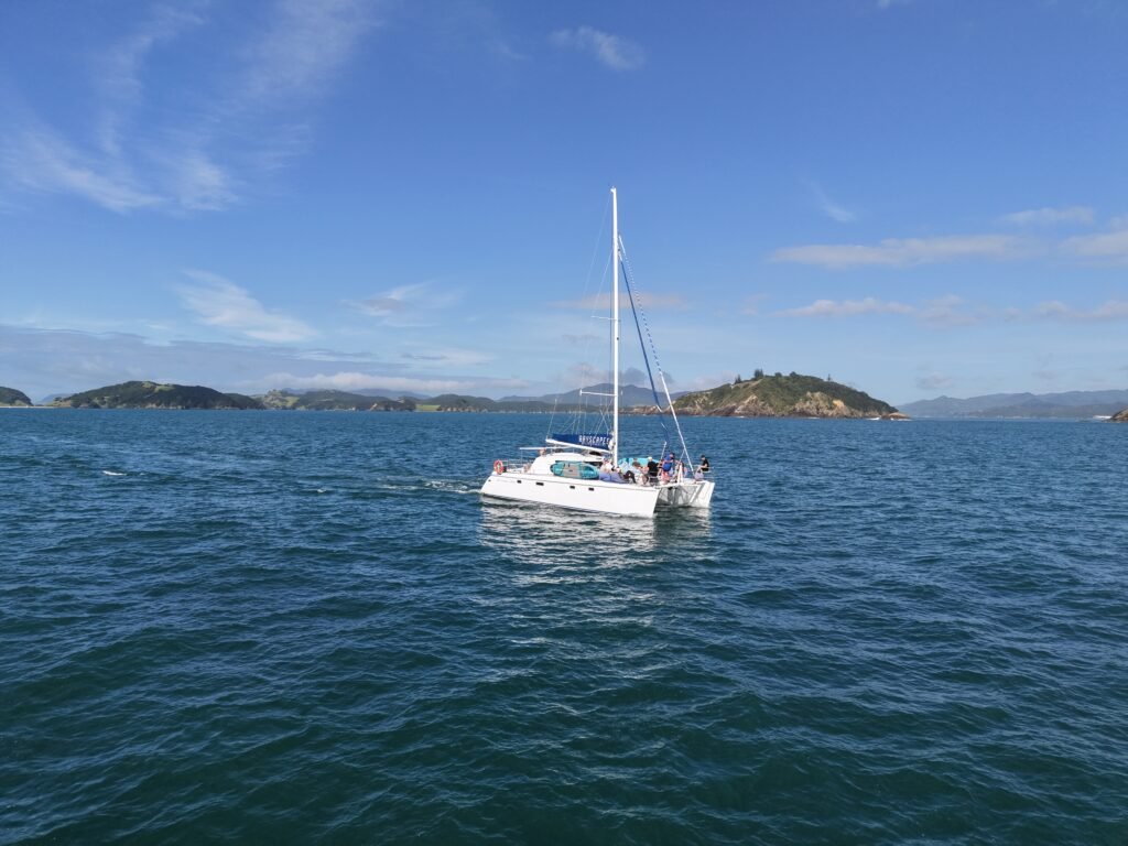 Catamaran sailing in the Bay of Islands with wide decks and ocean views