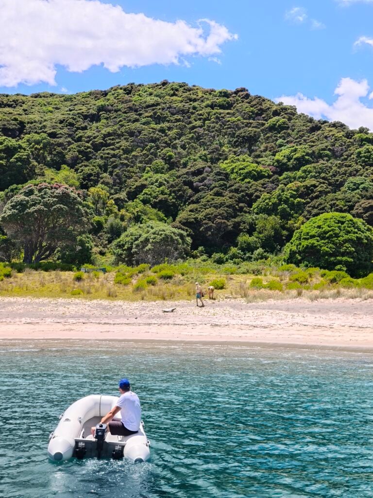 Tender going to island to pick up guests from an island stop on a bay of islands sailing charter