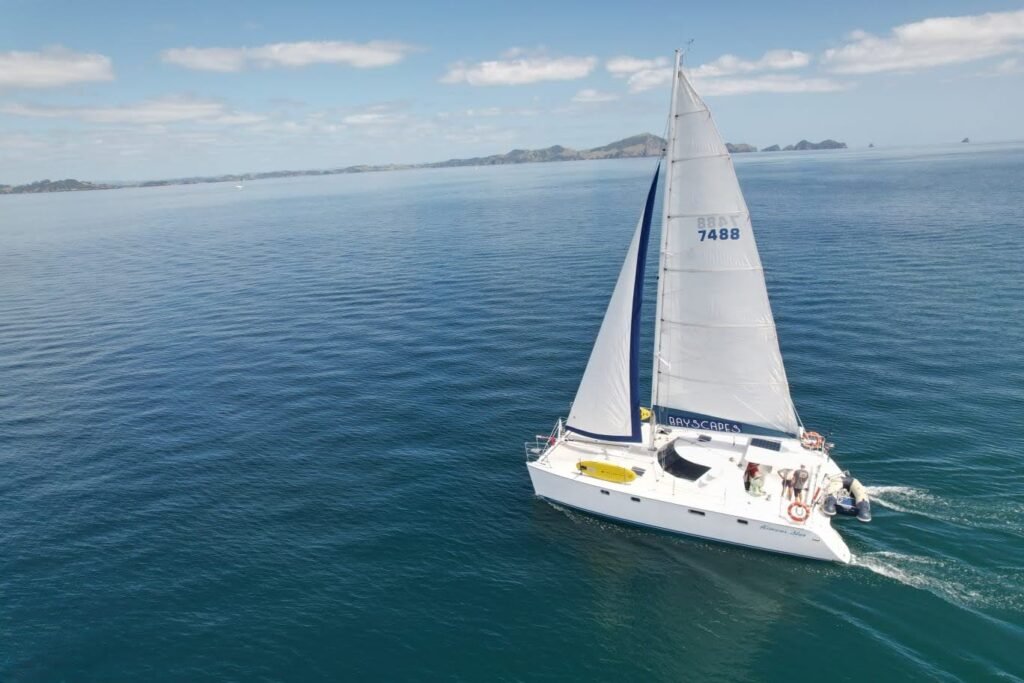 Catamaran sailing through the Bay of Islands on a clear day
