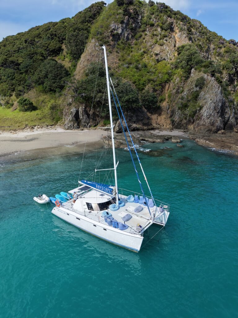 Aerial view of the Bayscapes Sailing Charters catamaran Hibiscus Star anchored in a secluded Bay of Islands bay
