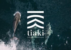 Tiaki-inspired conservation graphic representing care for nature and oceans during Bayscapes sailing charters