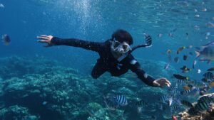 A person snorkeling among fish in the Bay of Islands