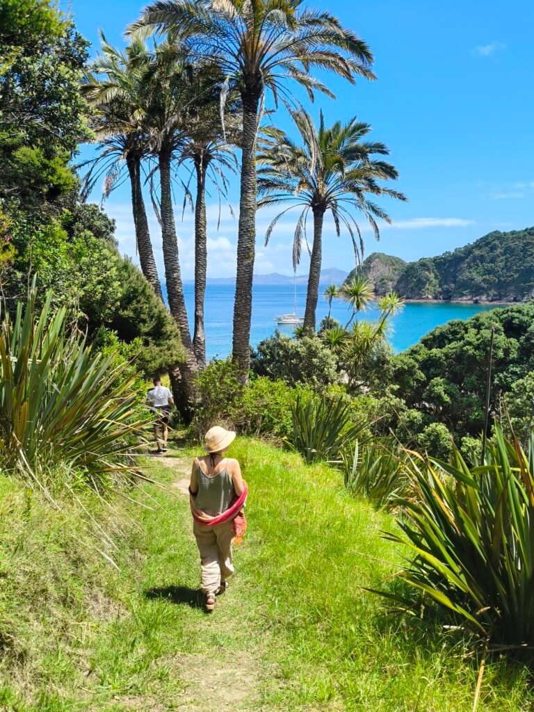 Guests walk part of the track of Moturua Island while on a sail and hike charter with Bayscapes Charters