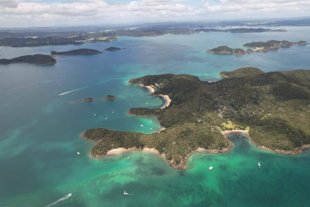 Aerial Shot of Moturua Island in the Bay of Islands
