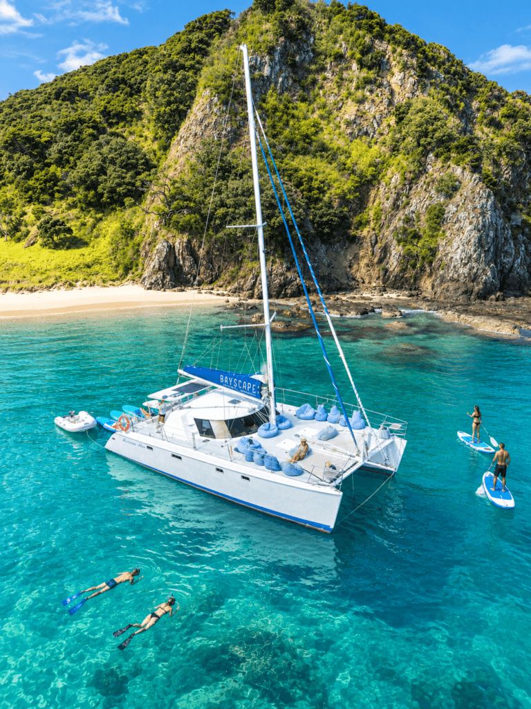 Sailing Charters in the Bay of Islands